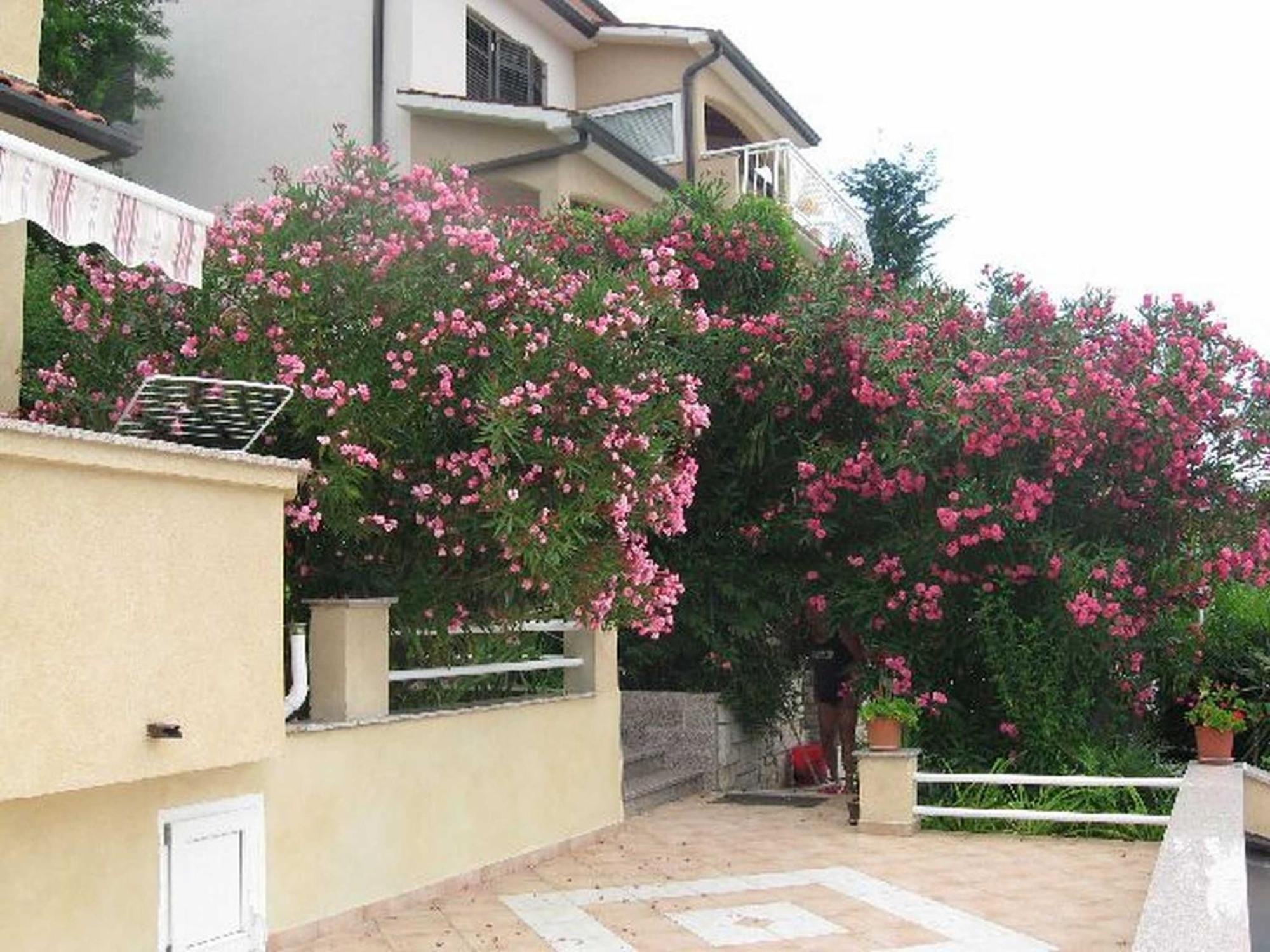 Apartments Silmare Rabac Εξωτερικό φωτογραφία