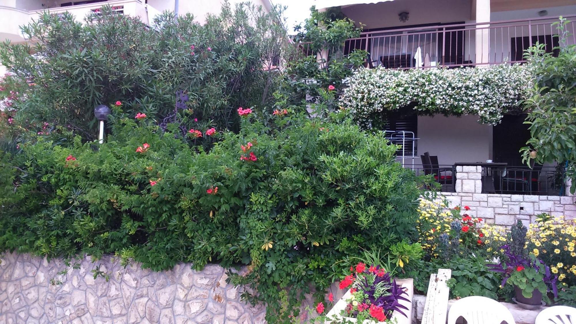 Apartments Silmare Rabac Εξωτερικό φωτογραφία