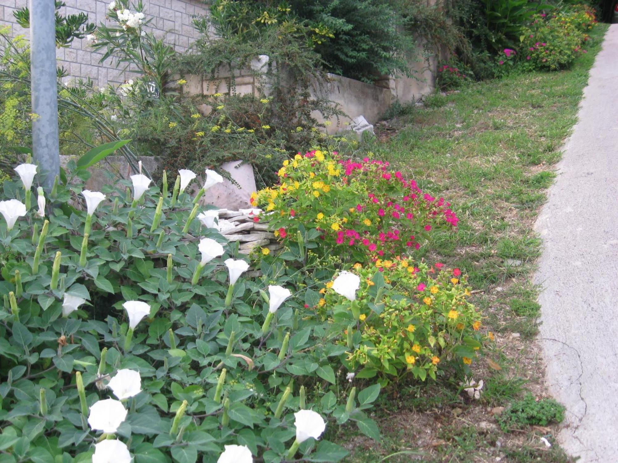 Apartments Silmare Rabac Δωμάτιο φωτογραφία