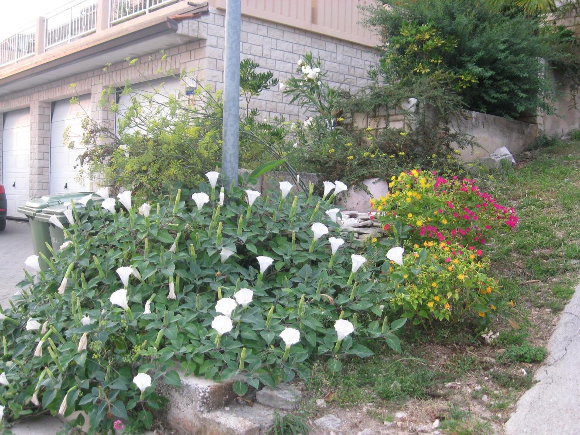 Apartments Silmare Rabac Δωμάτιο φωτογραφία