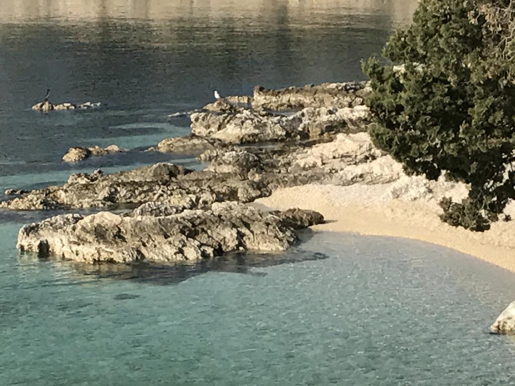 Apartments Silmare Rabac Εξωτερικό φωτογραφία